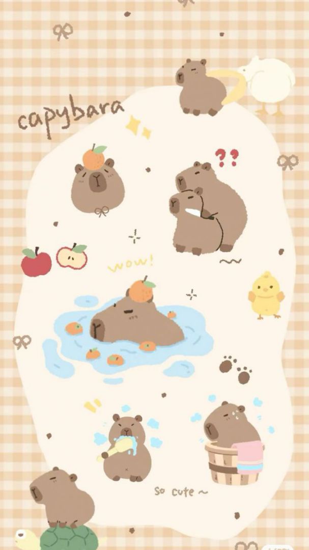 Những hình nền capybara cute cho điện thoại - Hình số 2