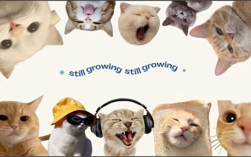 Những hình nền máy tính cute nhất - Hình số 1