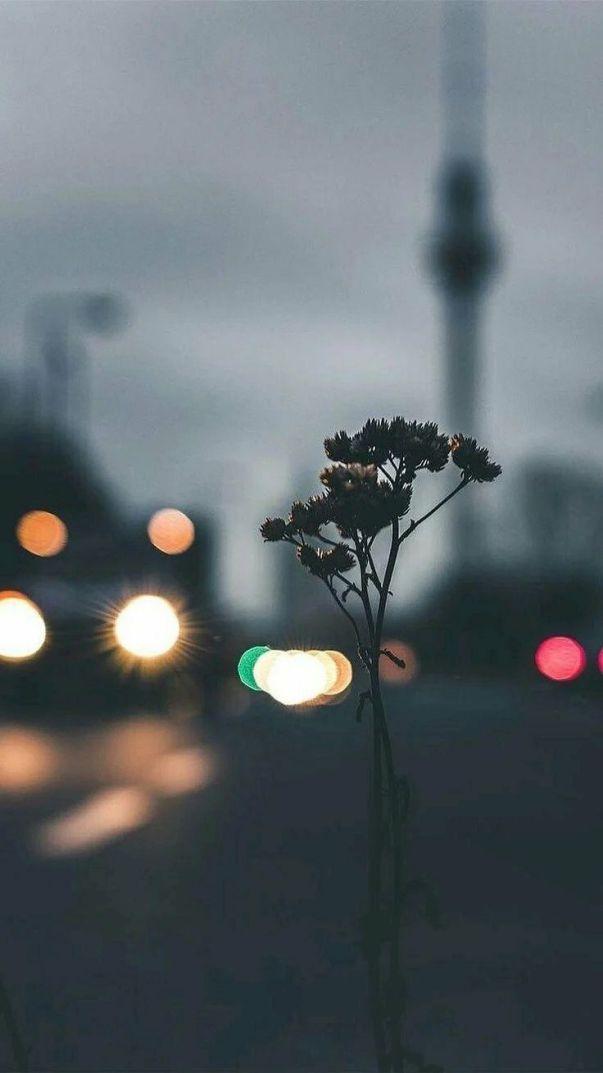 Những hình nền điện thoại chill buồn - Hình số 6