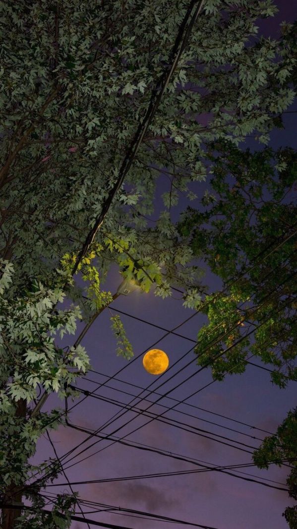 Những hình nền điện thoại chill đẹp - Hình số 7