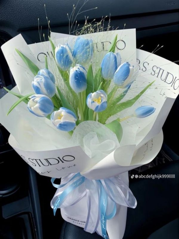 Những hình nền điện thoại hoa tulip xanh - Hình số 2