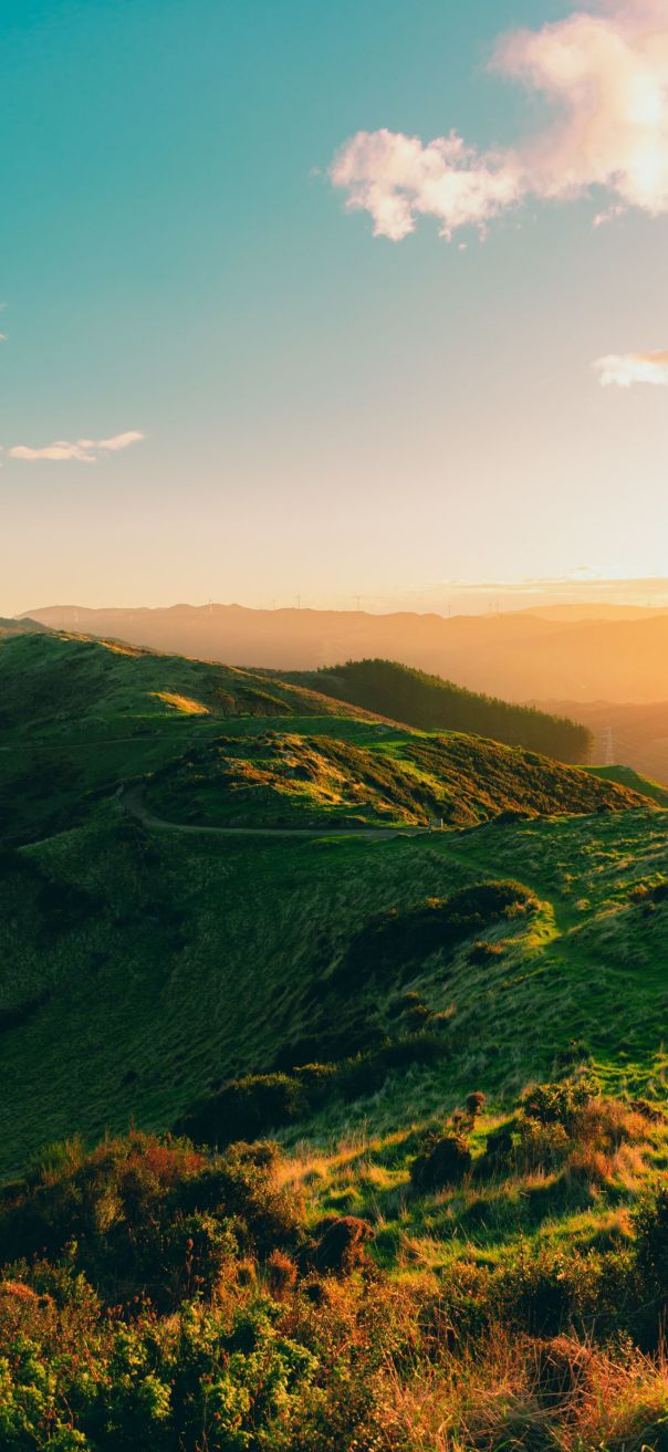 Những hình nền iphone 14 pro max - Hình số 8