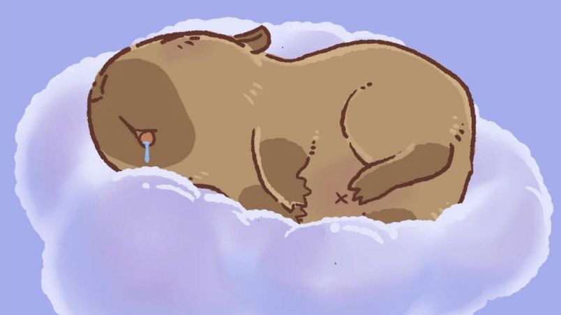 Những hình nền capybara vô tri cute - Hình số 3