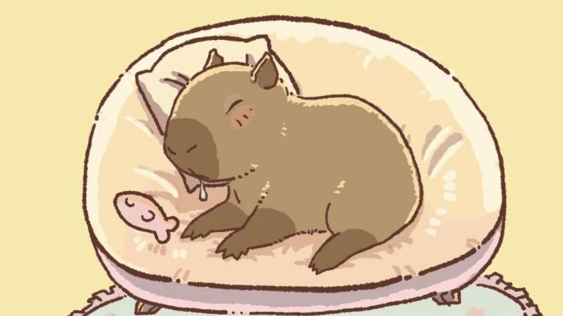 Những hình nền capybara vô tri cute - Hình số 7